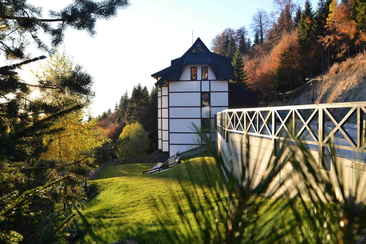 Vila Irina Kopaonik Buitenkant foto