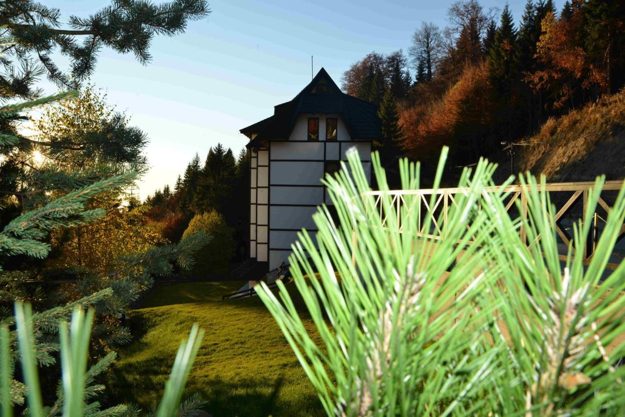 Vila Irina Kopaonik Buitenkant foto