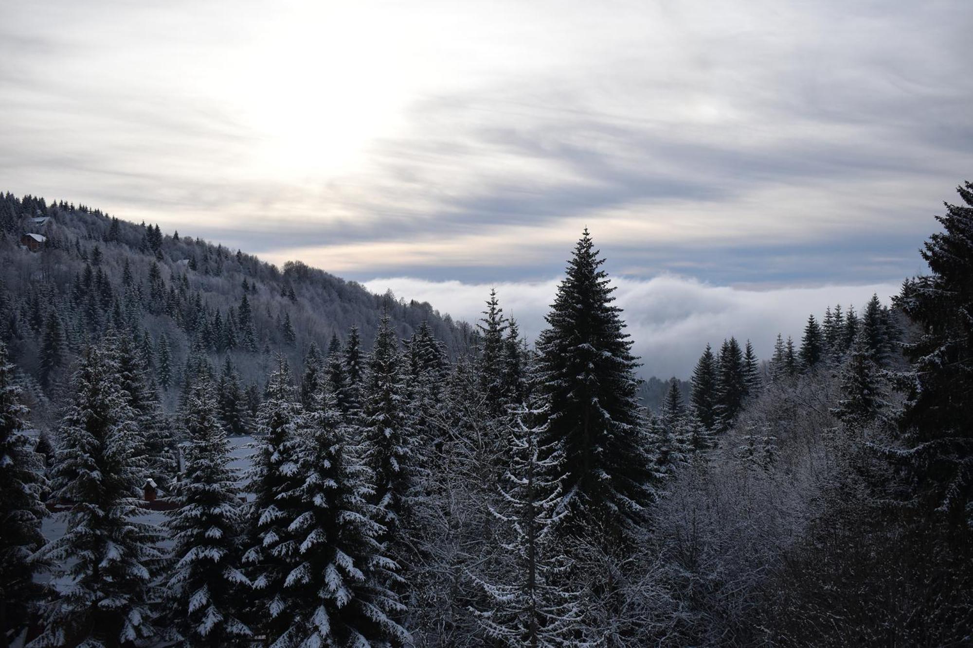 Vila Irina Kopaonik Buitenkant foto
