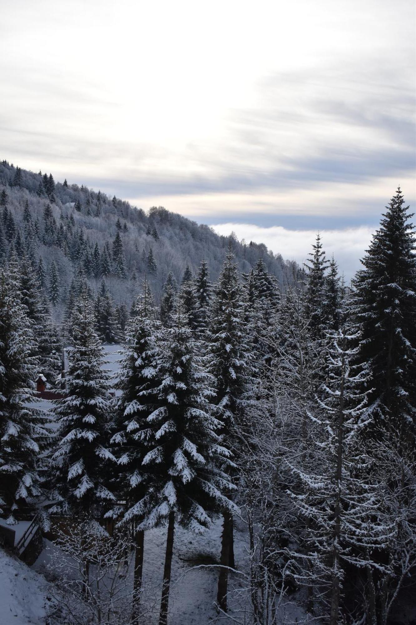 Vila Irina Kopaonik Buitenkant foto