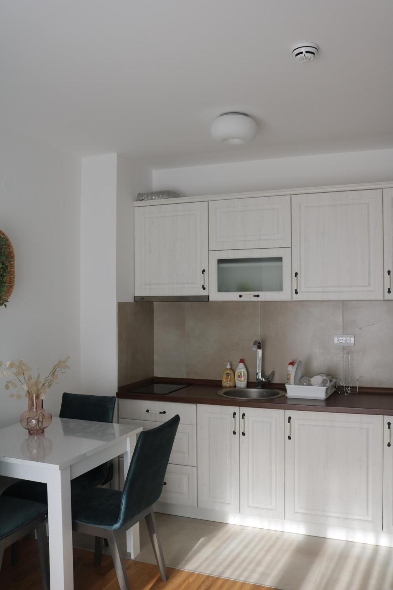 Vila Irina Kopaonik Kamer foto